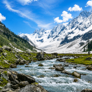 Kashmir