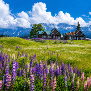 Pahalgam, Kashmir