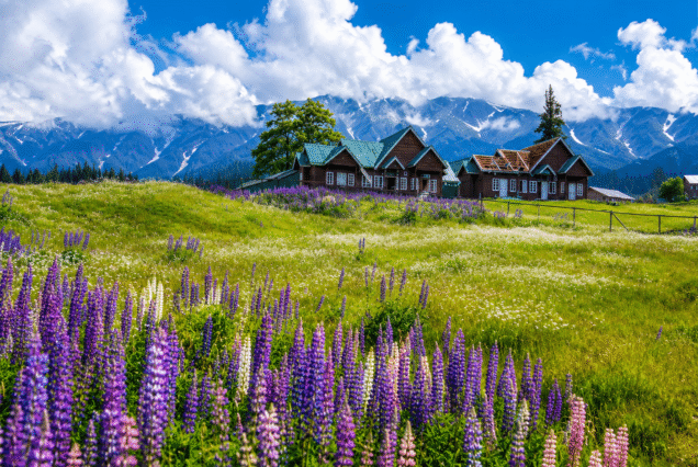 Pahalgam, Kashmir