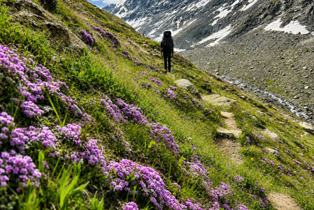 Pin Pravati Trek_4
